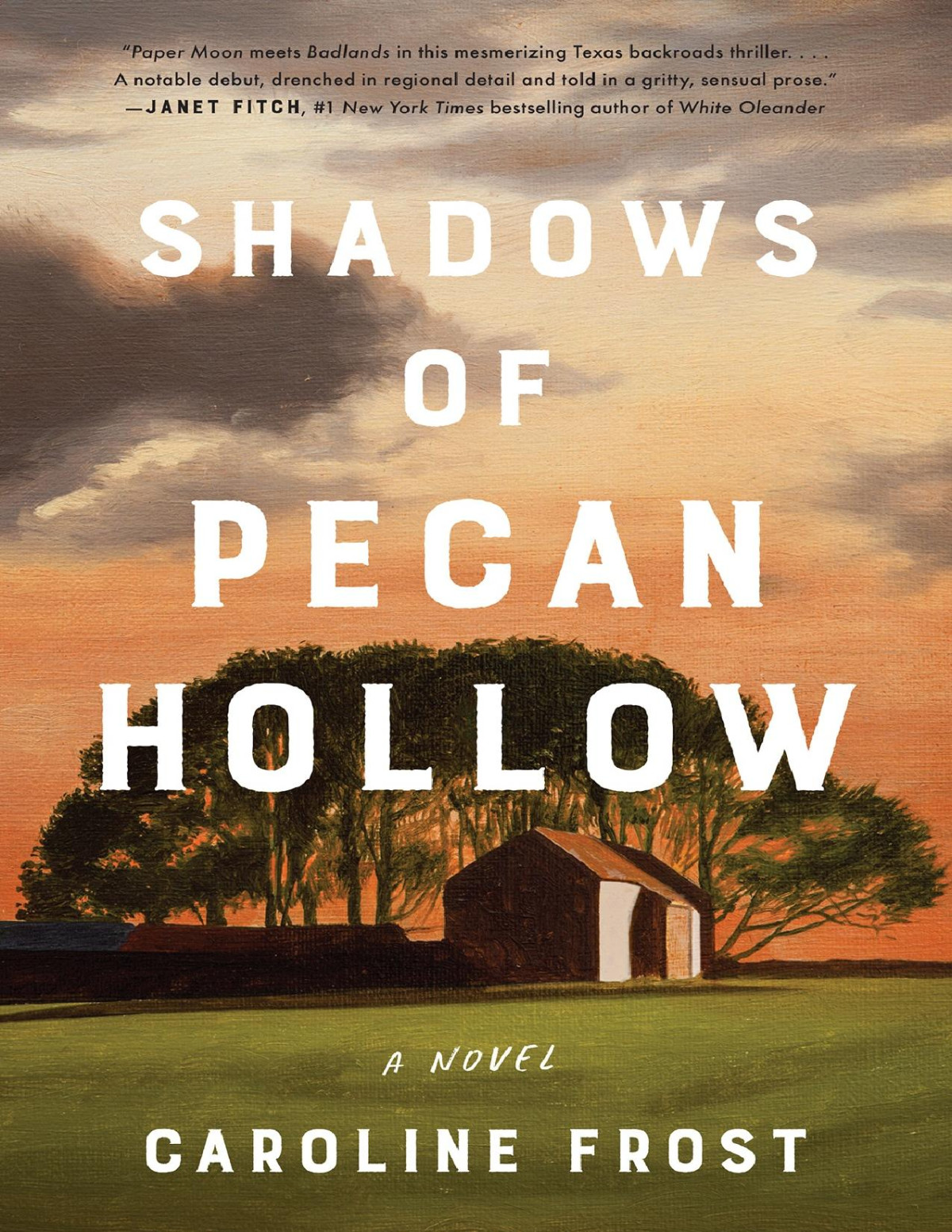 Shadows Of Pecan Hollow Caroline Frost