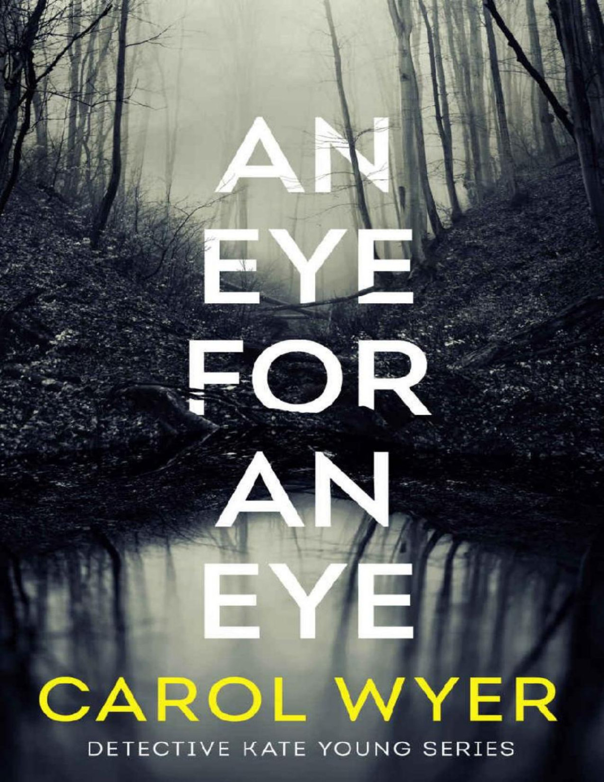 An Eye For An Eye Detective Kate Young Carol Wyer