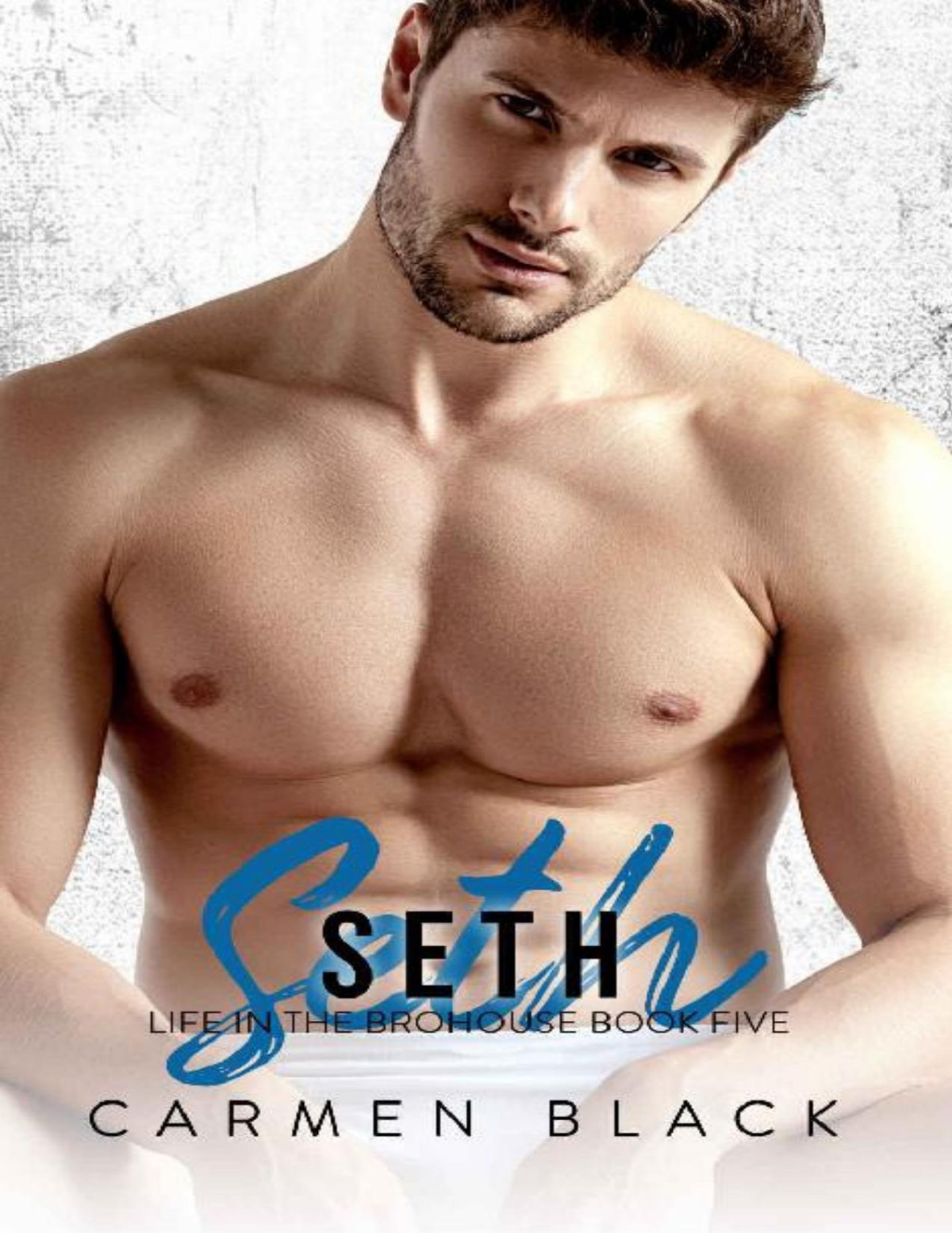Seth Life In The Brohouse Book 5 Carmen Black