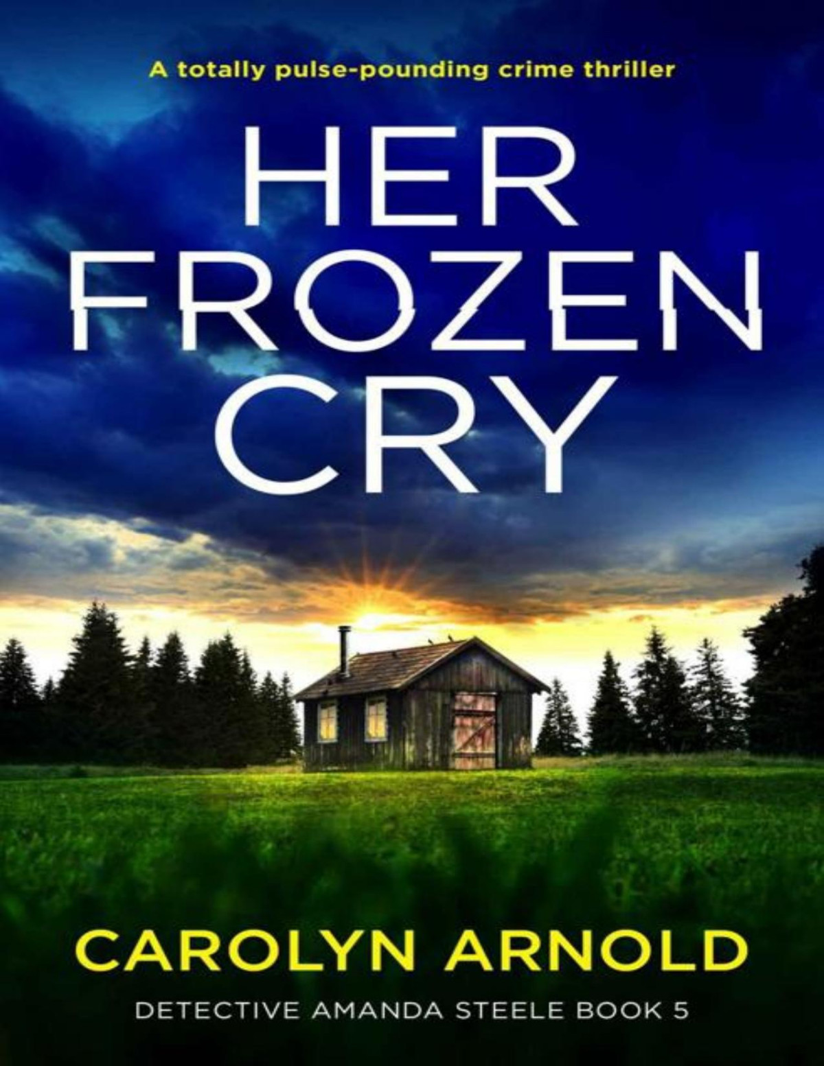 Her Frozen Cry Detective Amanda Steele 5 Carolyn Arnold