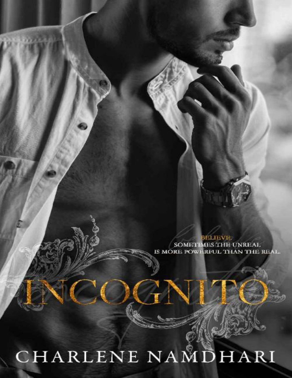 Incognito Serendipity Book 2 Charlene Namdhari
