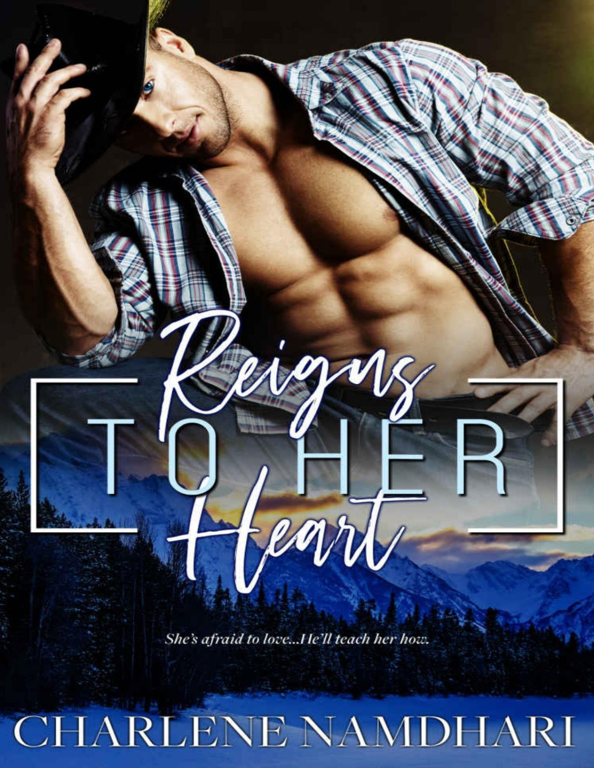 Reigns To Her Heart Fire Ice Book 2 Charlene Namdhari