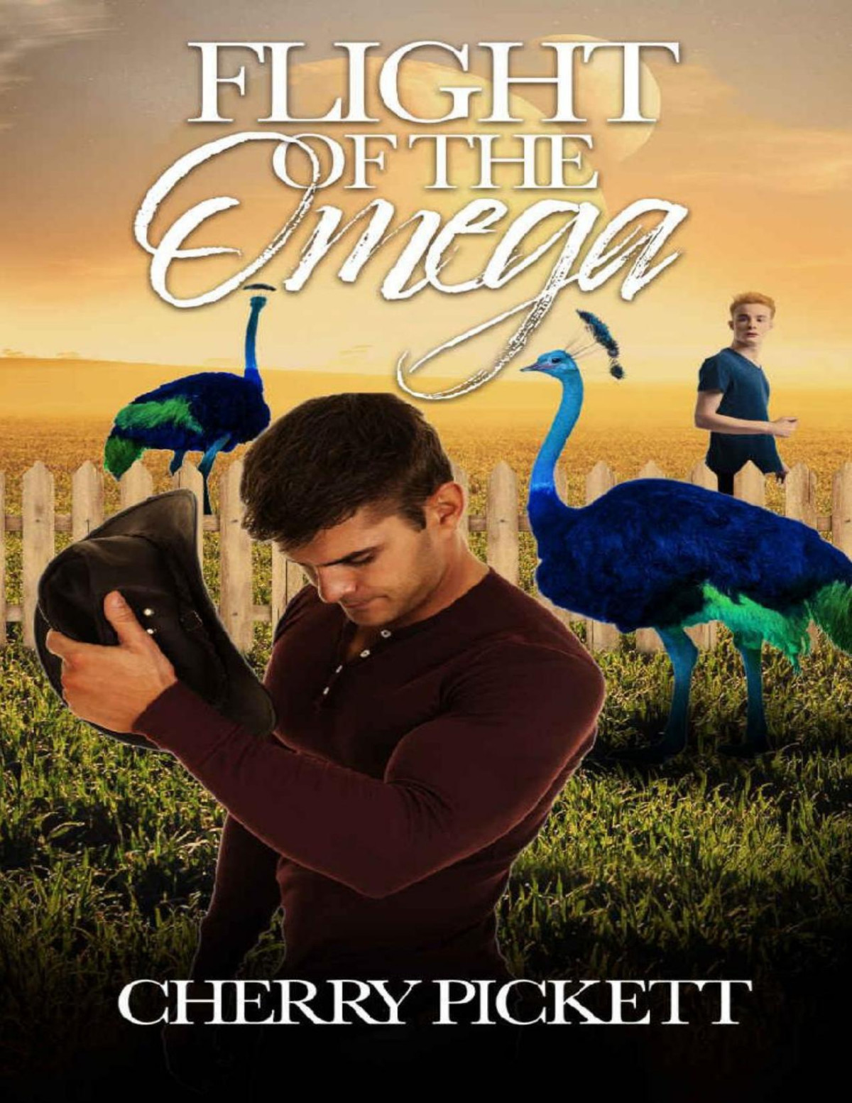 Flight Of The Omega An Mm Alien Mpreg Romance Cherry Pickett