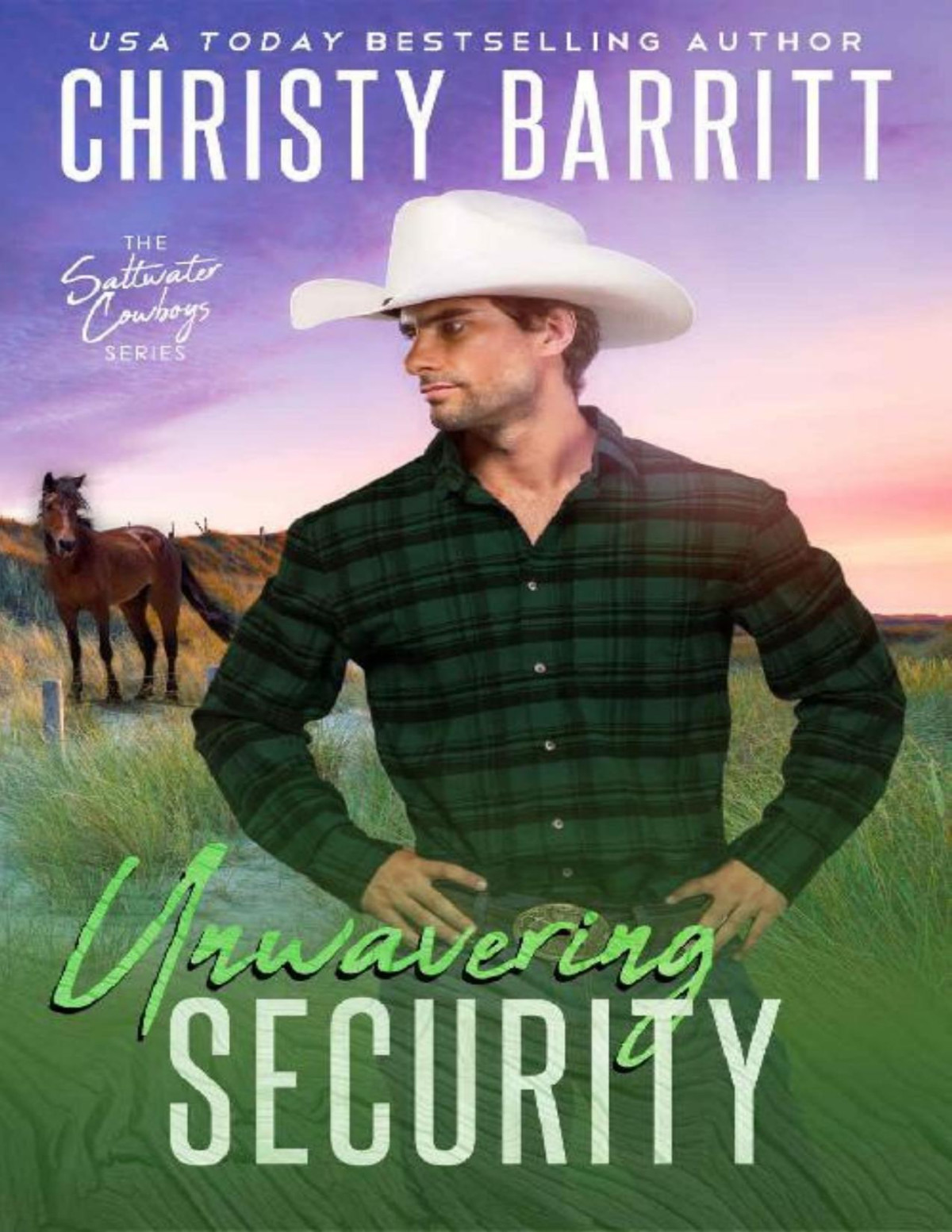 Unwavering Security Saltwater Cowboys Book 6 Christy Barritt