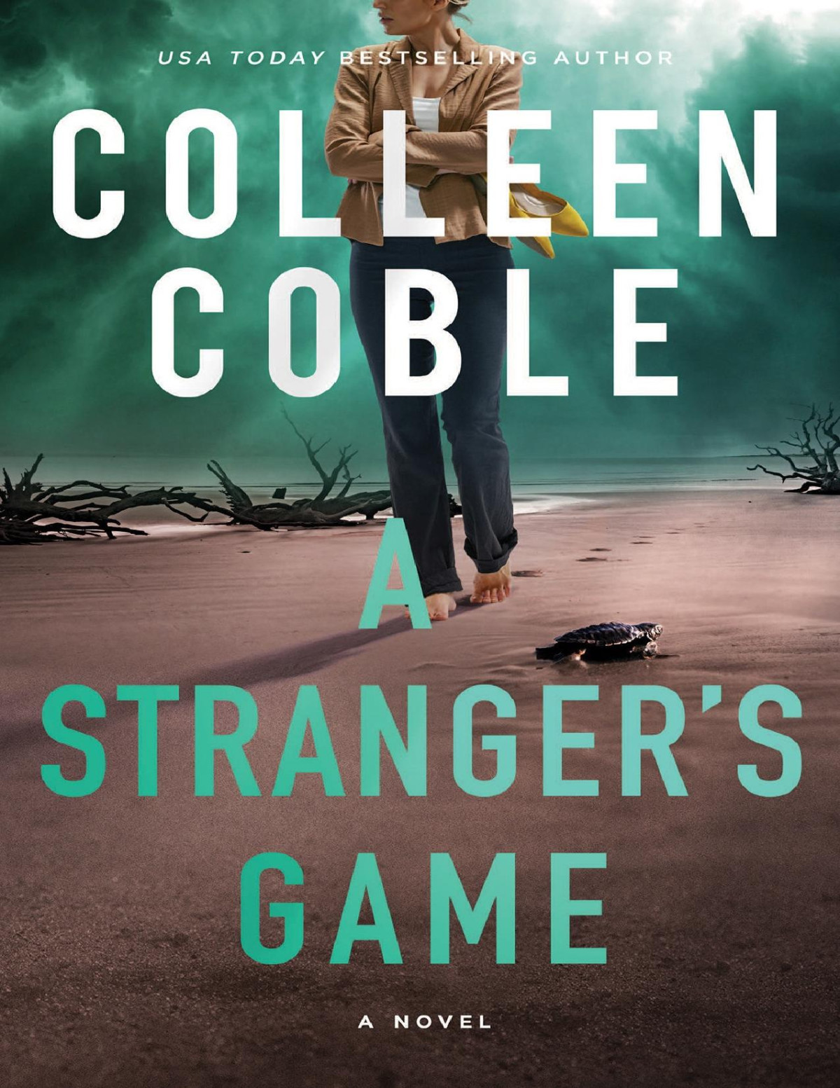Strangers Game Colleen Coble