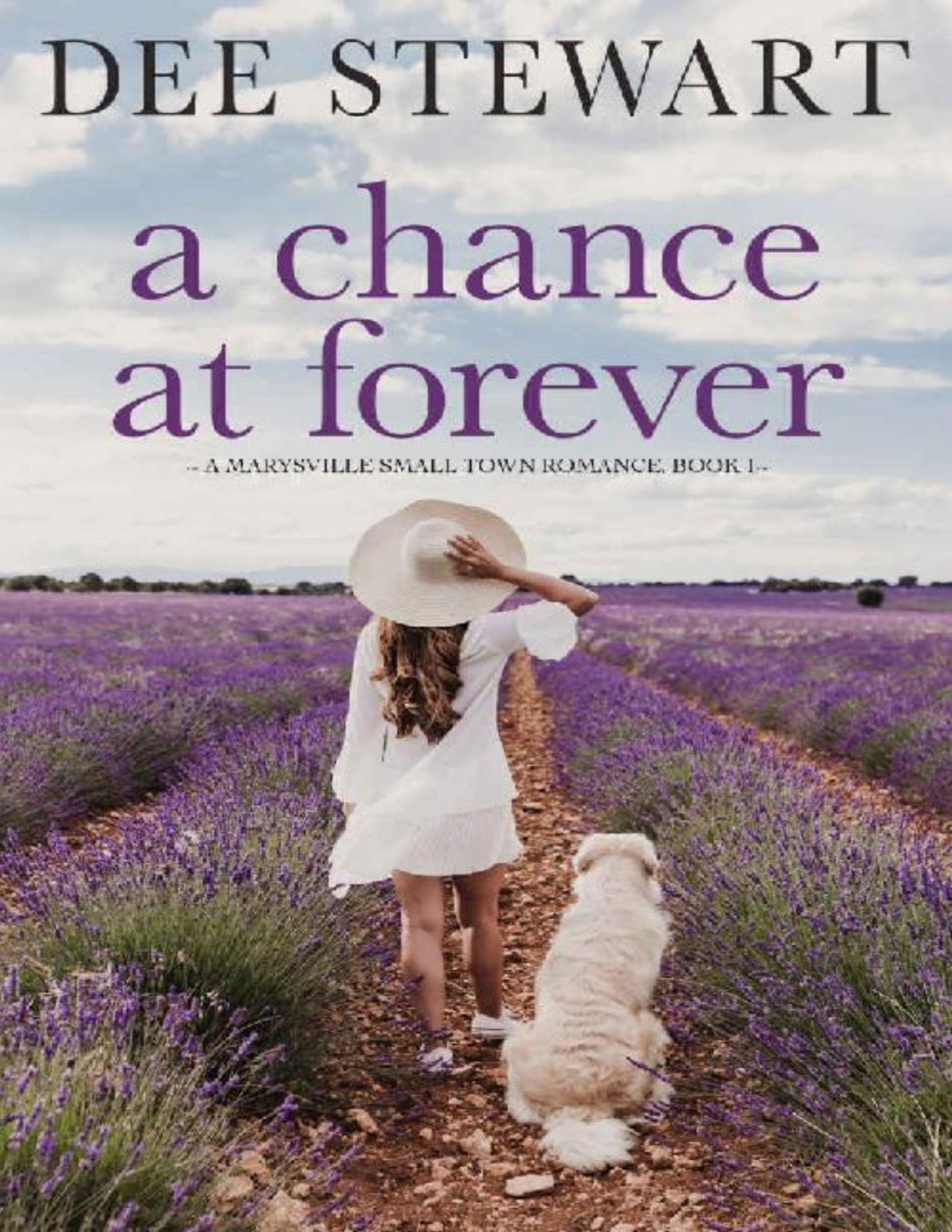 A Chance At Forever A Marysville Small Town Romance Book 1 Dee Stewart