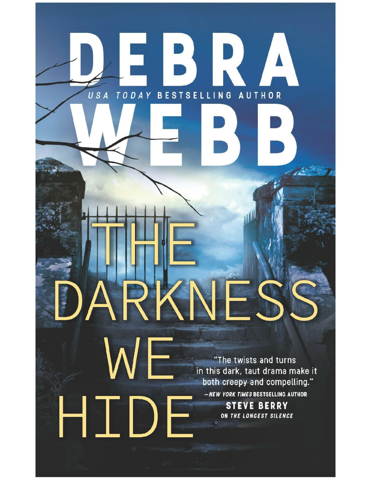 The Darkness We Hide Debra Webb