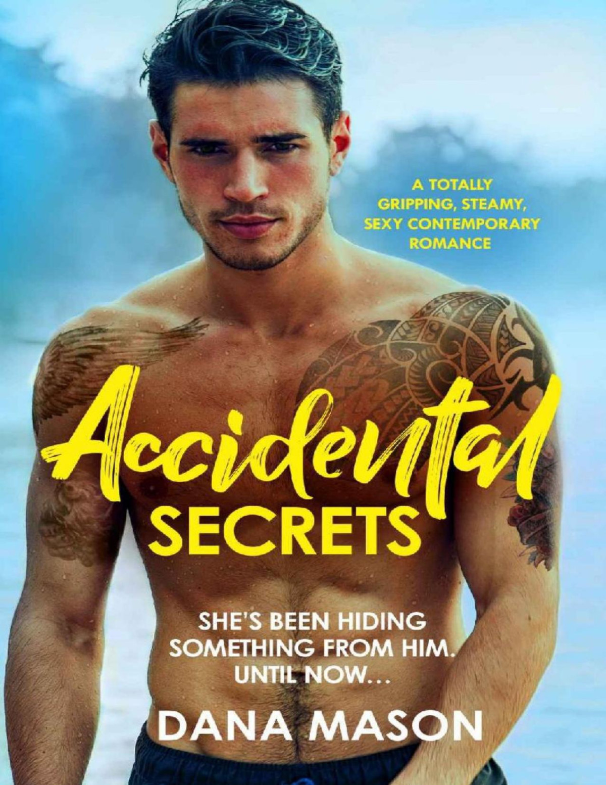 Accidental Secrets A Totally Gripping Steamy Sexy Contemporary Romance Accidental Love Book 3 Dana Mason