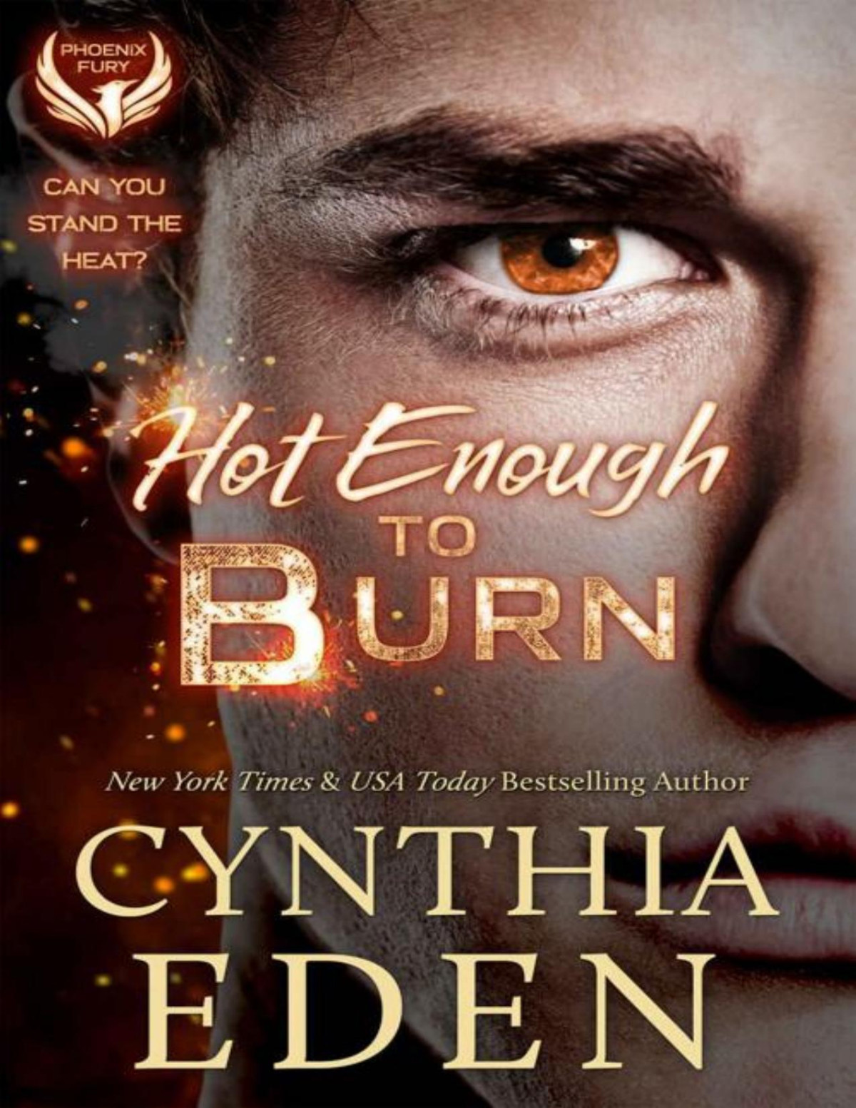 Hot Enough To Burn Phoenix Fury Book 1 Cynthia Eden