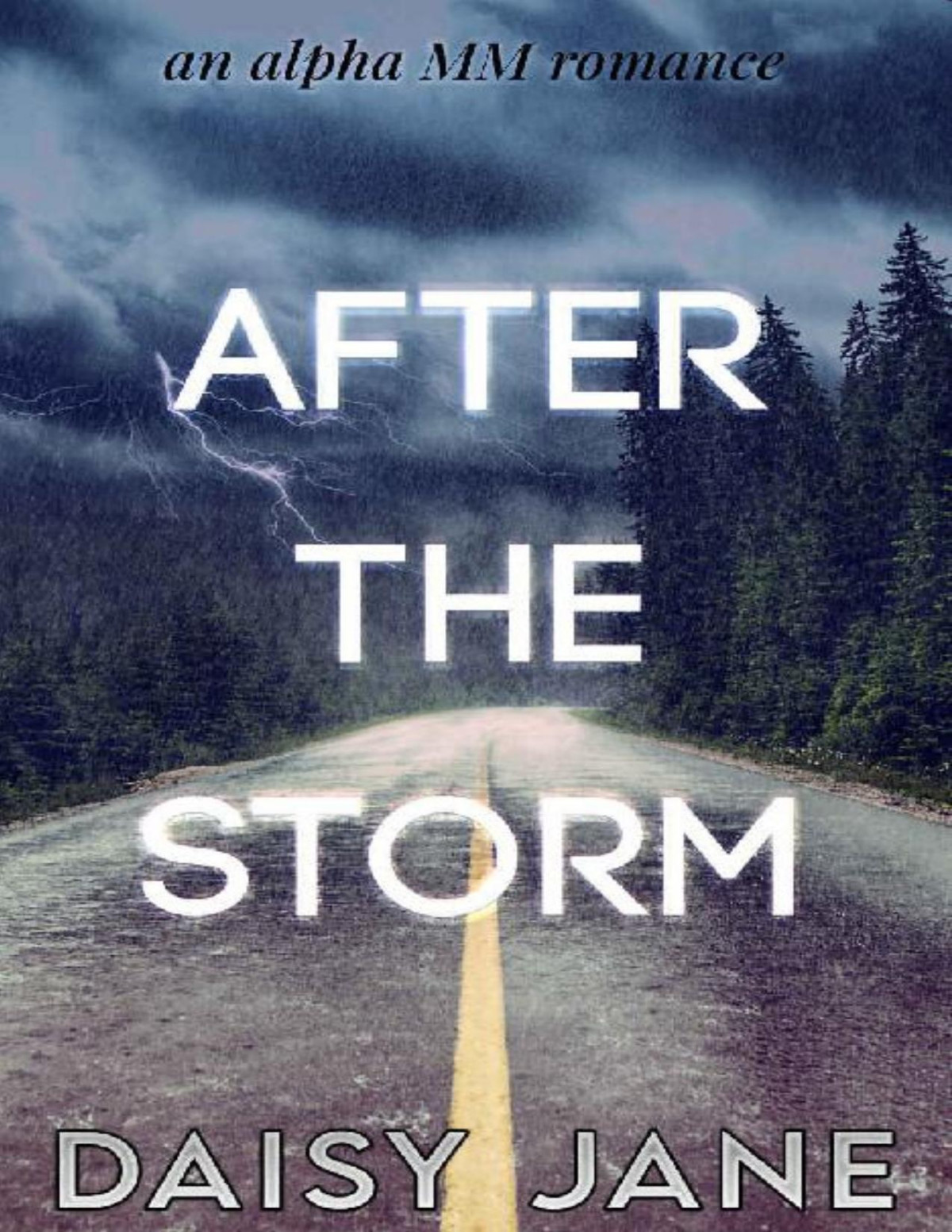 After The Storm An Alpha Mm Romance Daisy Jane