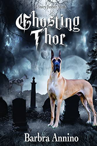 Ghosting Thor A Stacy Justice Spinoff Barbra Annino