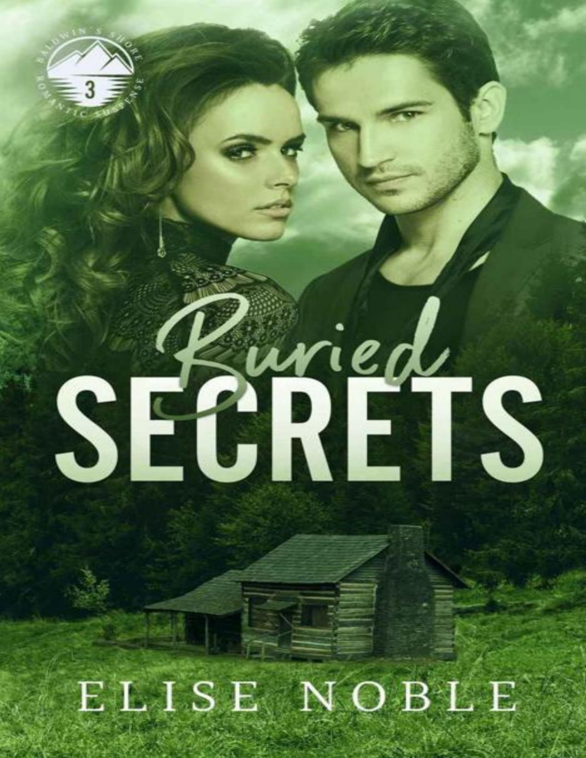 Buried Secrets Baldwins Shore Romantic Suspense Book 3 Elise Noble