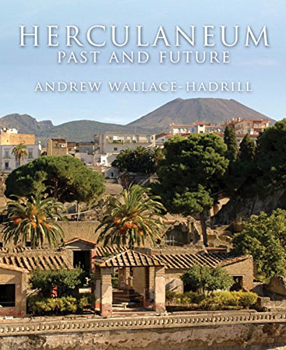 Herculaneum Past And Future Andrew Wallacehadrill
