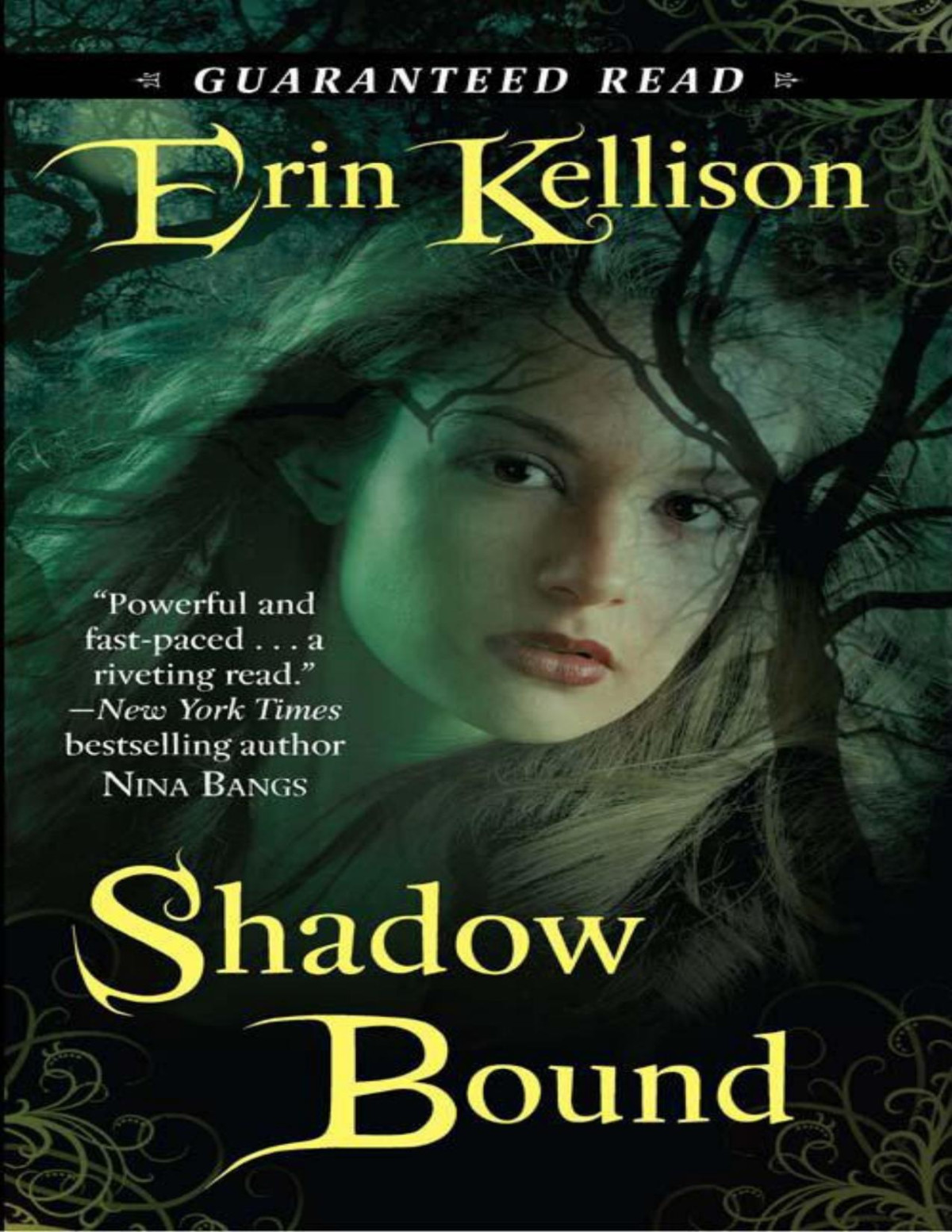 Shadow Bound 1 Erin Kellison