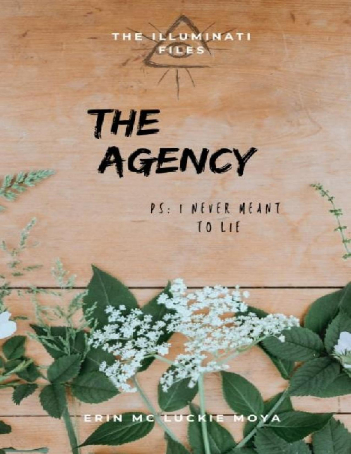 The Agency The Illuminati Files Book 3 Erin Mc Luckie Moya