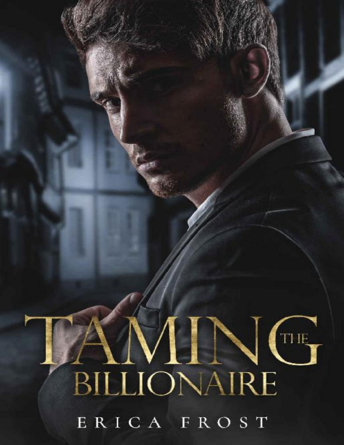 Taming The Billionaire New Adult Opposites Attract Romance Erica Frost