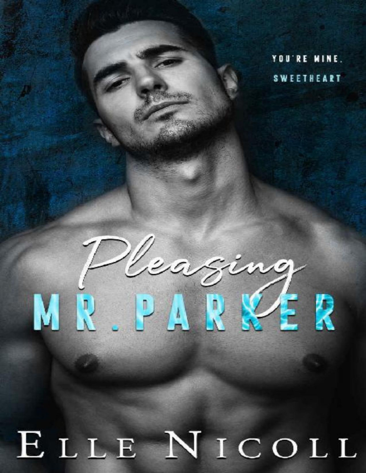 Pleasing Mr Parker A Steamy Grumpy Boss Romance The Men Series Book 5 Elle Nicoll
