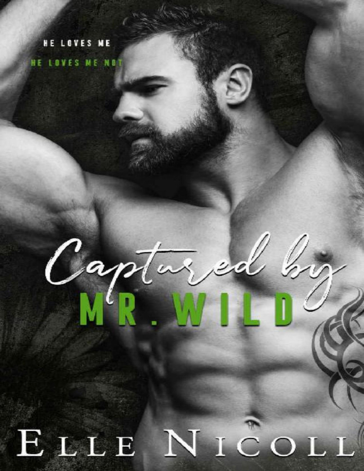 Captured By Mr Wild A Steamy Friends To Lovers Romance The Men Series Book 4 Elle Nicoll