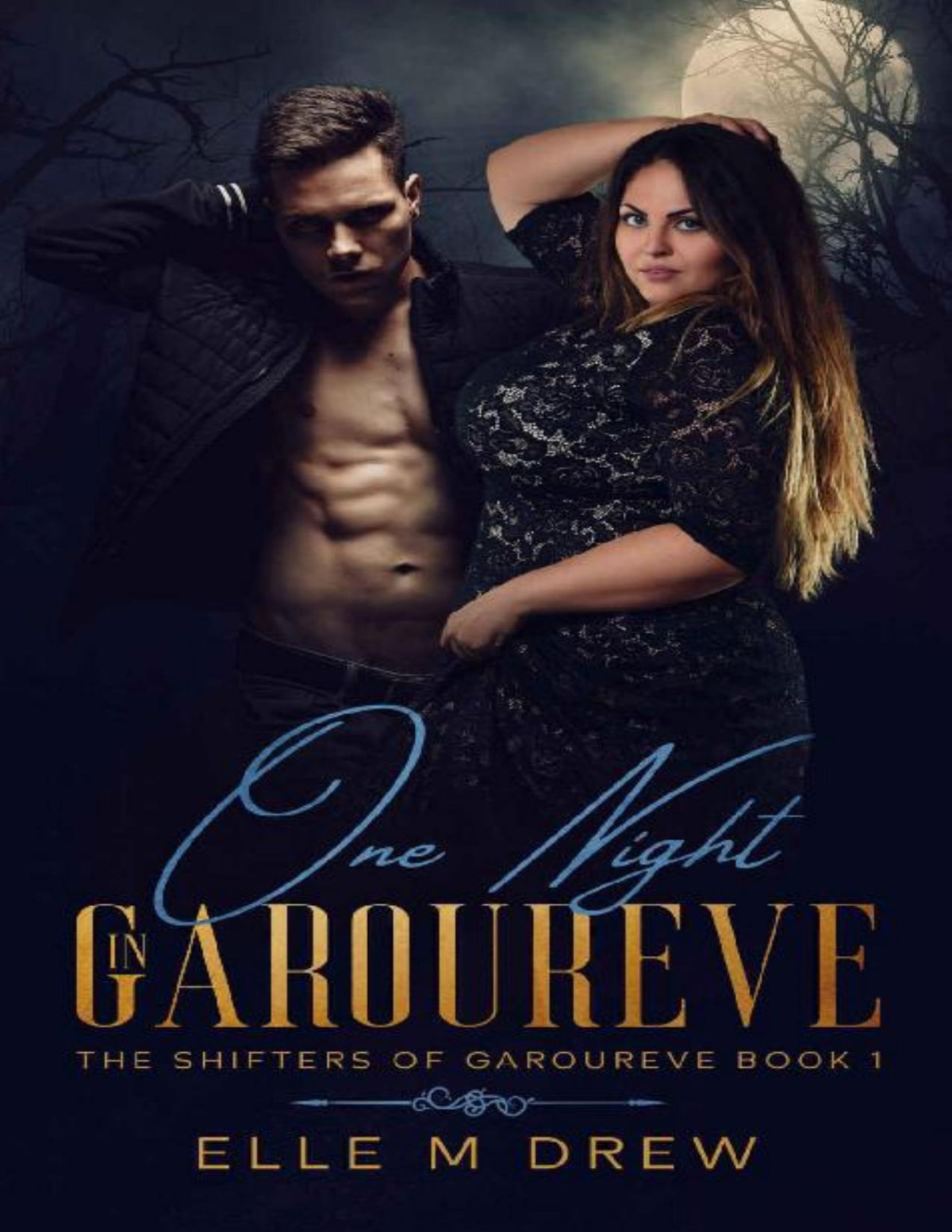 One Night In Garoureve The Shifters Of Garoureve Book 1 Elle M Drew