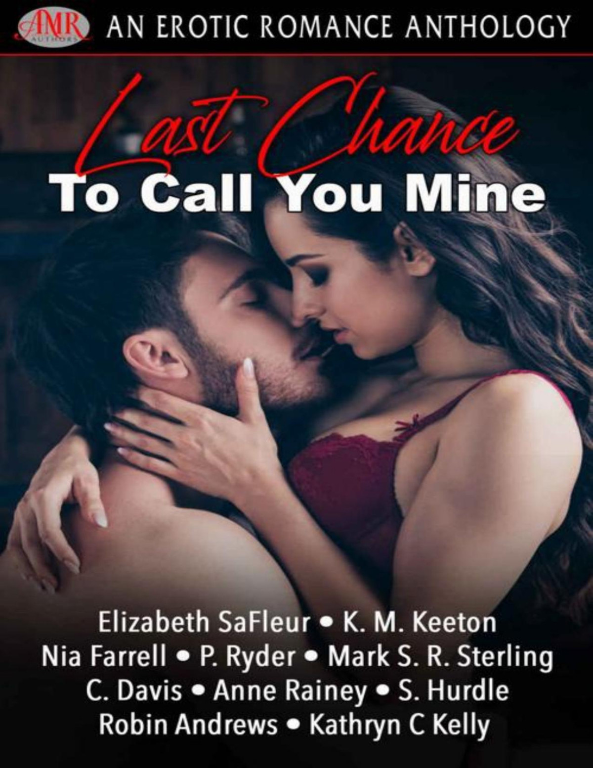 Last Chance To Call You Mine Elizabeth Safleur K M Keeton Nia Farrell Mark S R Sterling C Davis Anne Rainey S Hurdle P Ryder Robin Andrews Kathryn C Kelly