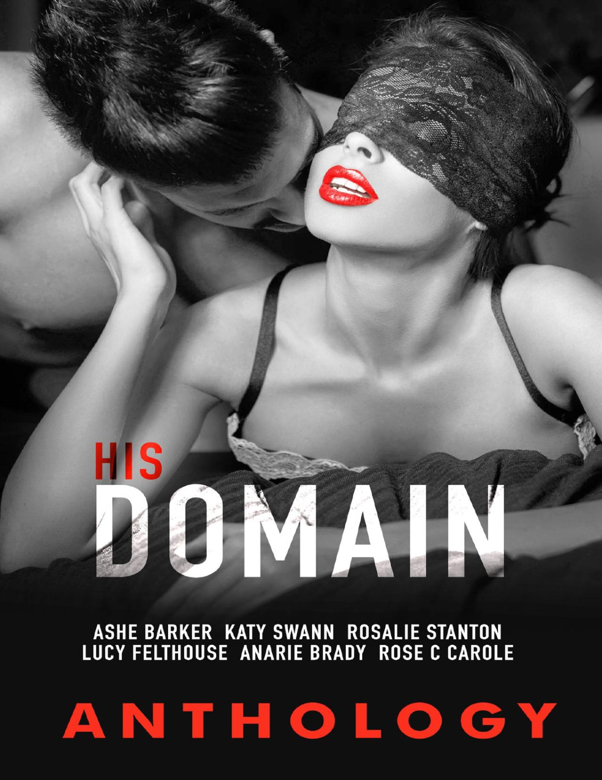 His Domain Ashe Barker Katy Swann Rosalie Stanton Lucy Felthouse