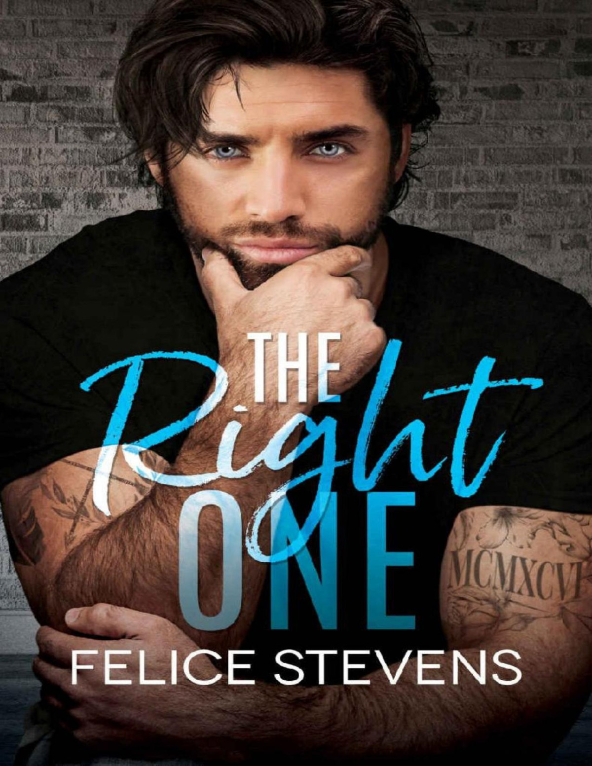 The Right One Felice Stevens