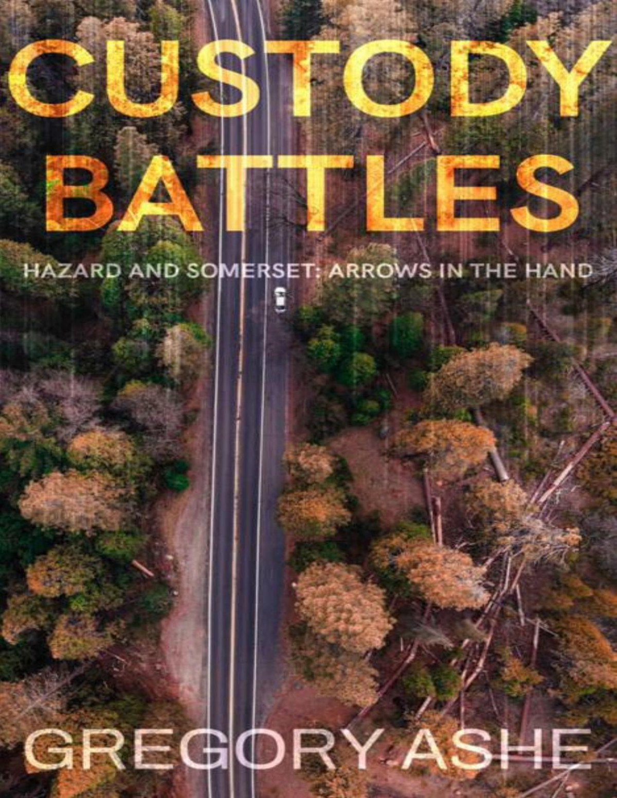 Custody Battles Hazard And Somerset Arrows In The Hand Book 2 Gregory Ashe