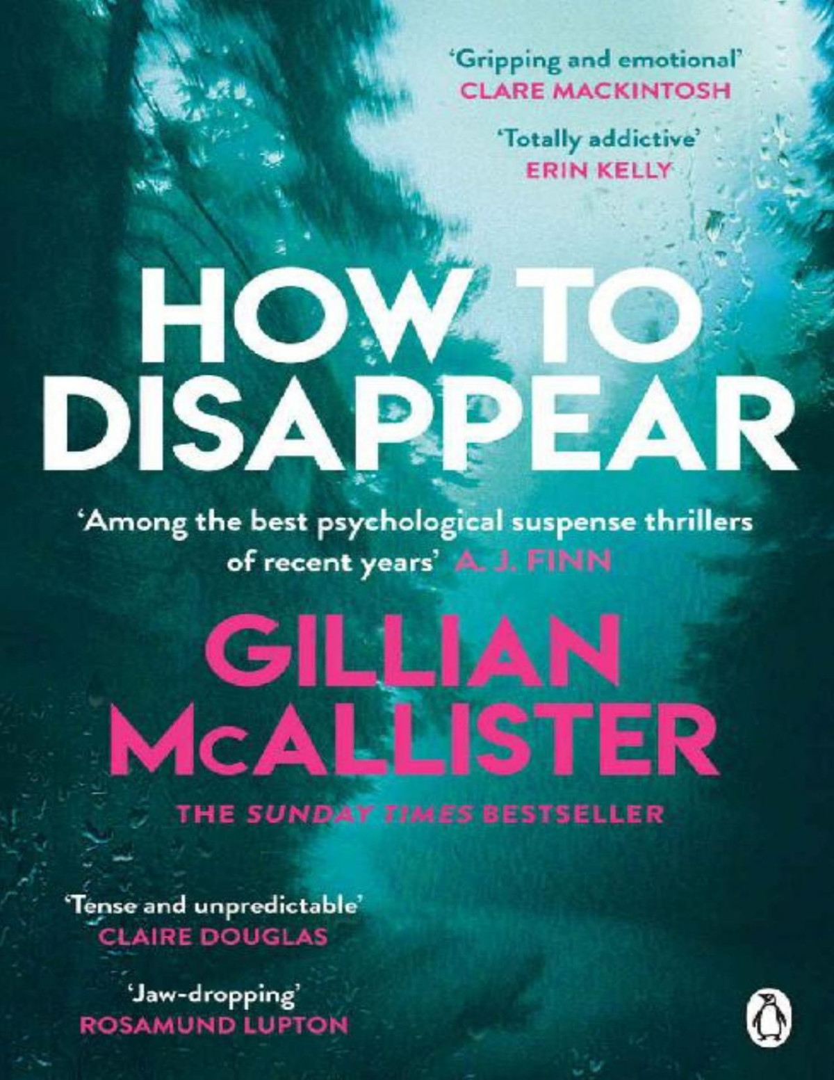 How To Disappear Gillian Mcallister