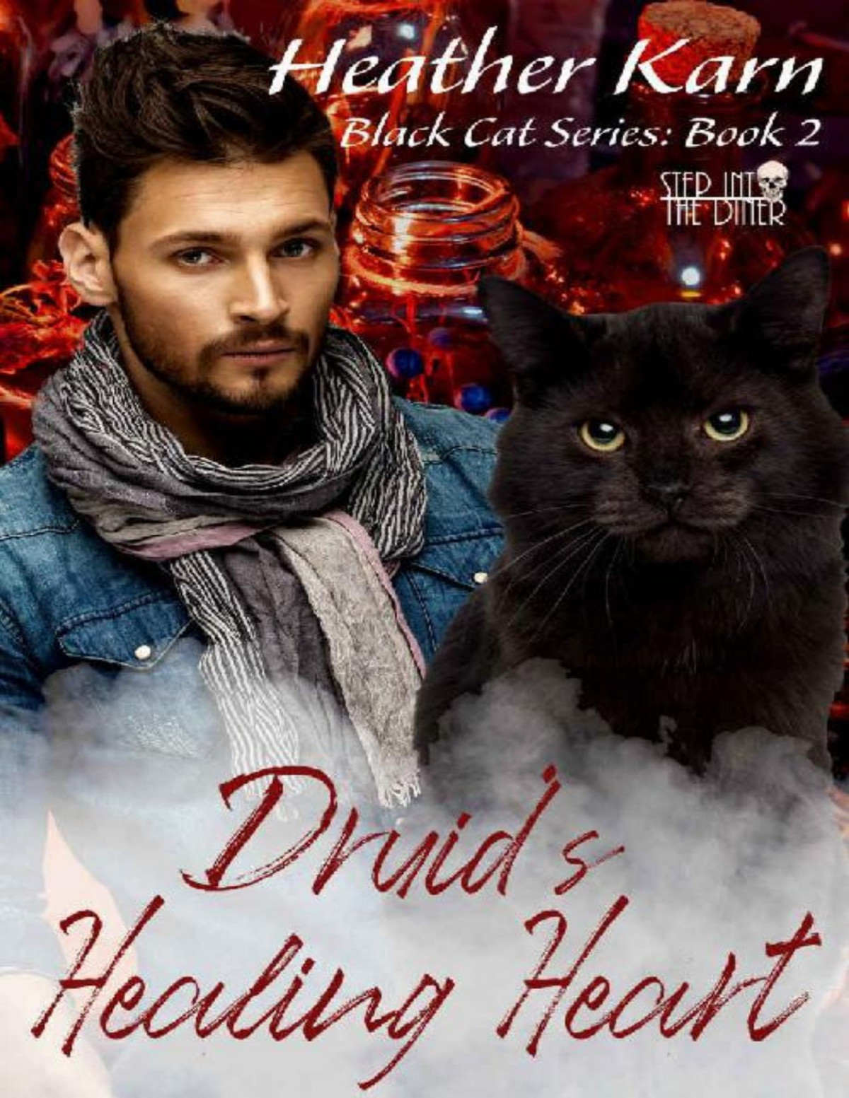 Druids Healing Heart Black Cat Series Book 2 Heather Karn