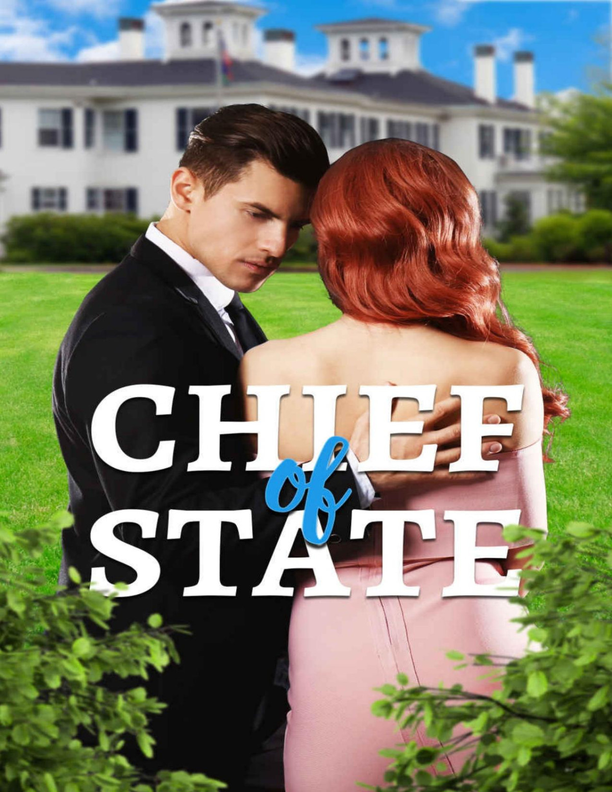 Chief Of State A Small Town Strangers To Lovers Standalone Romance Holly J Martin