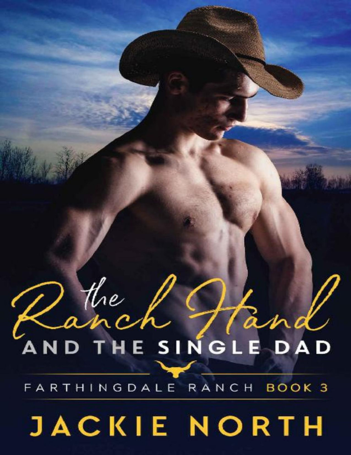 The Ranch Hand And The Single Dad A Gay Mm Cowboy Romance Farthingdale Ranch Book 3 Jackie North