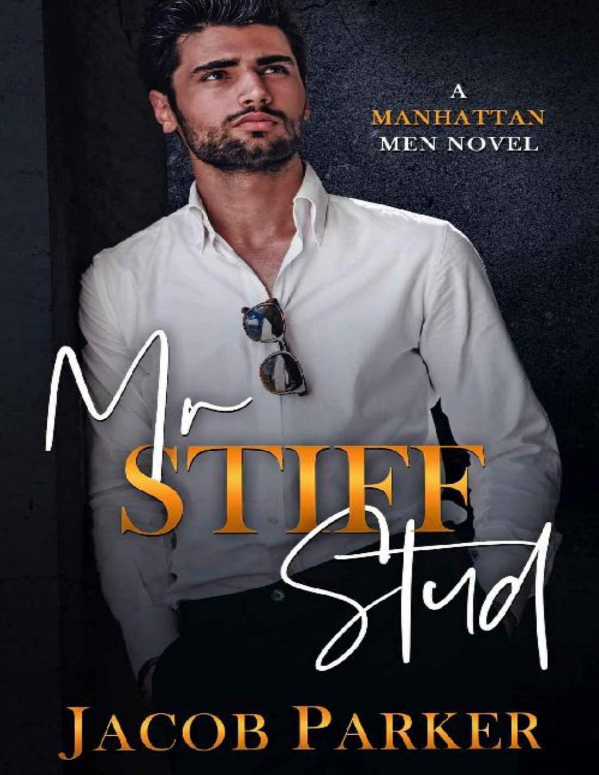 Mr Stiff Stud A Manhattan Men Novel Jacob Parker