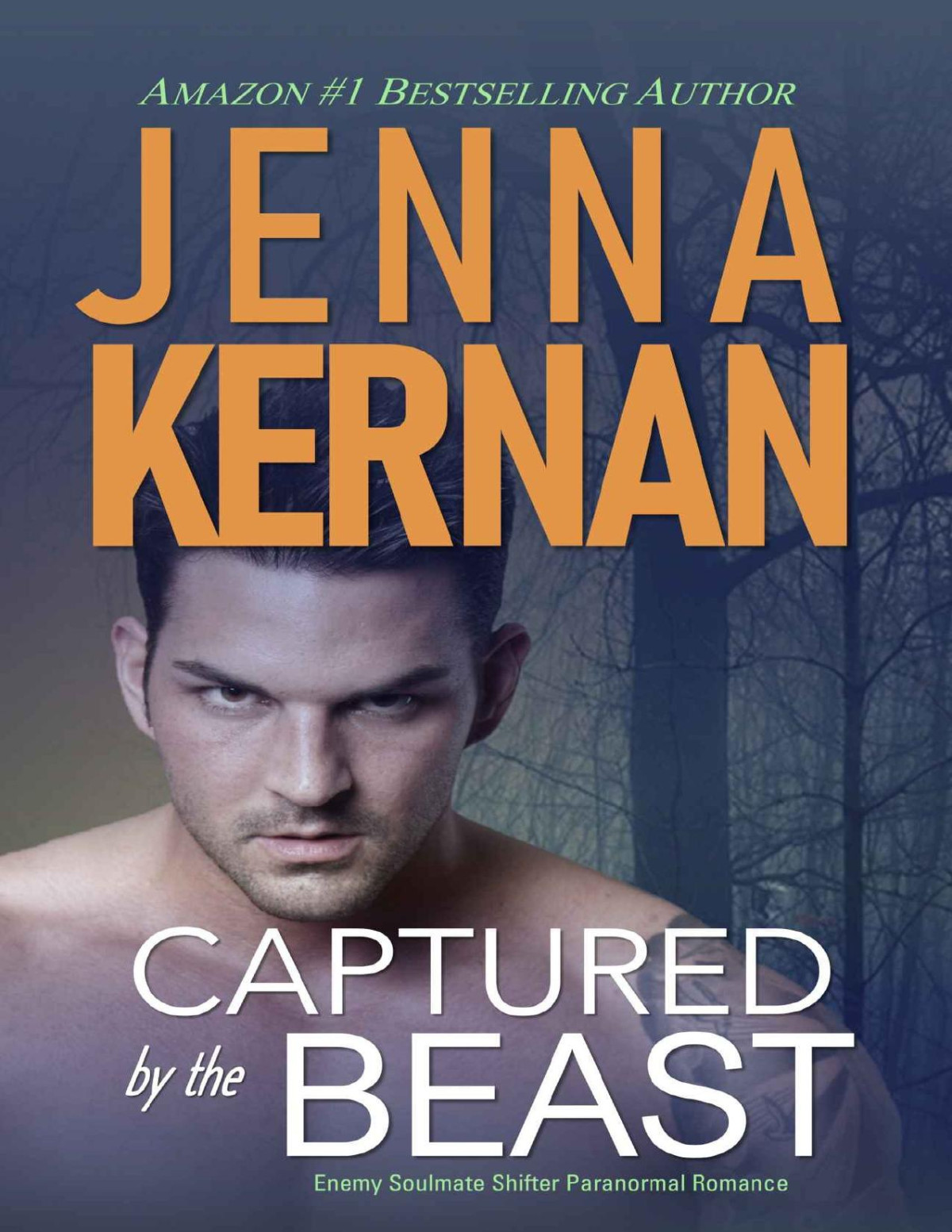 Captured By The Beast Enemy Soulmate Shifter Paranormal Romance Kernan