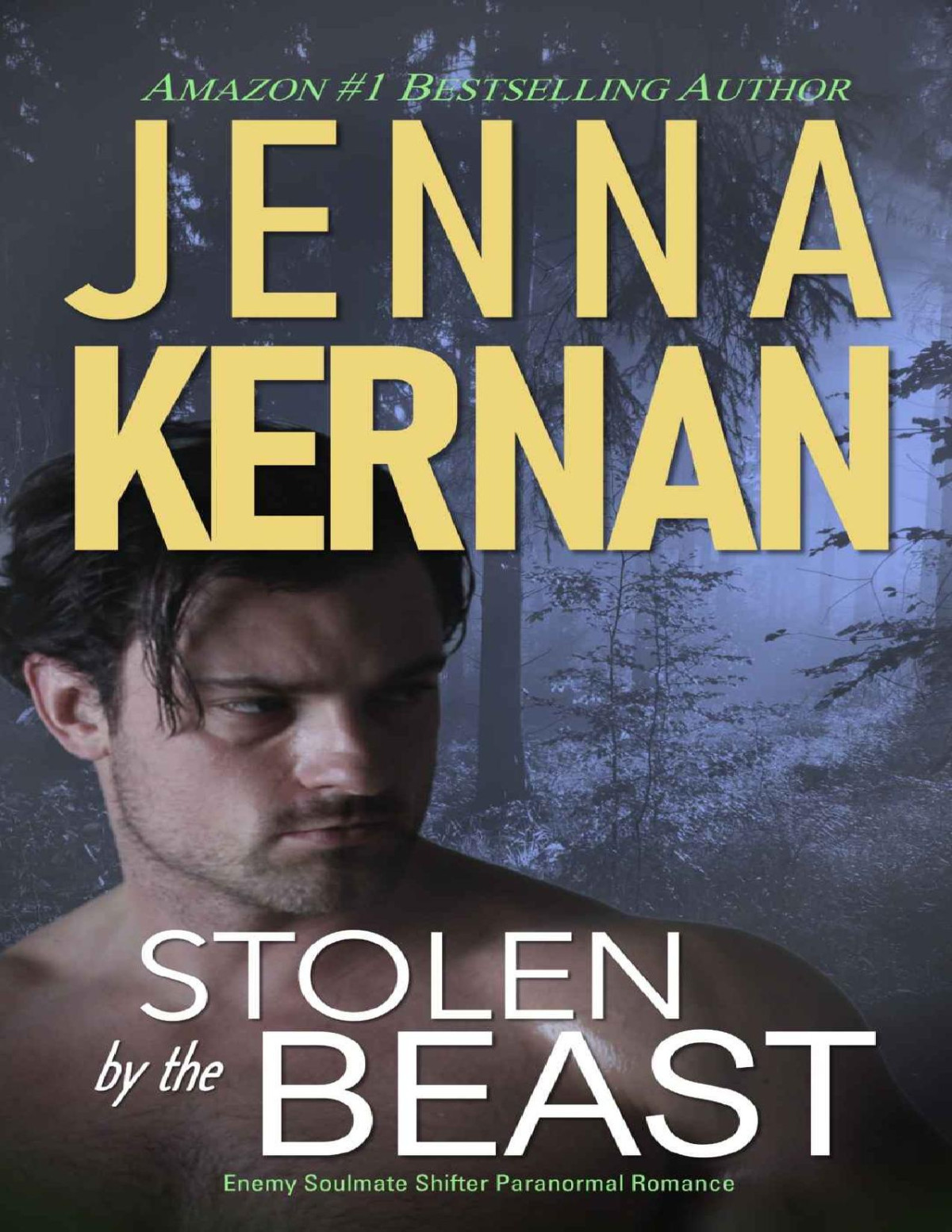 Stolen By The Beast Enemy Soulmates Shifter Paranormal Romance Kernan