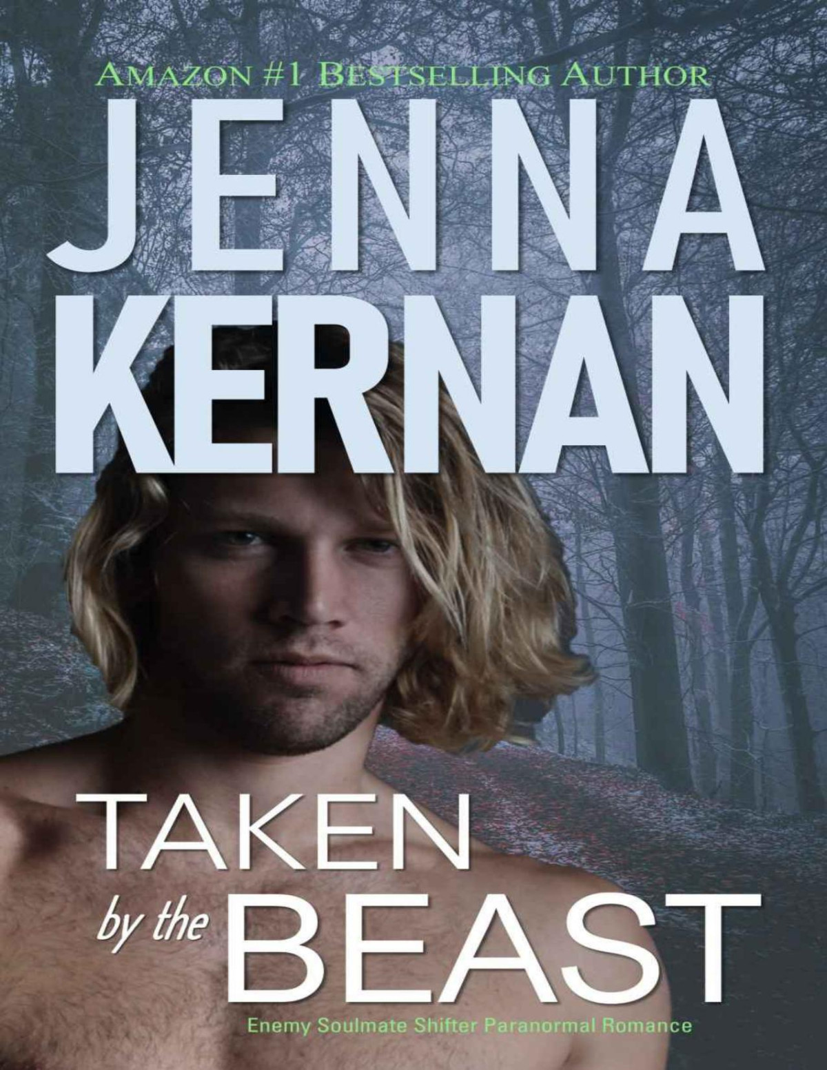 Taken By The Beast Enemy Soulmates Shifter Paranormal Romance Kernan
