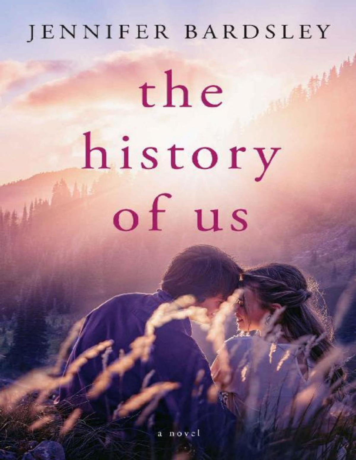 The History Of Us A Novel Jennifer Bardsley