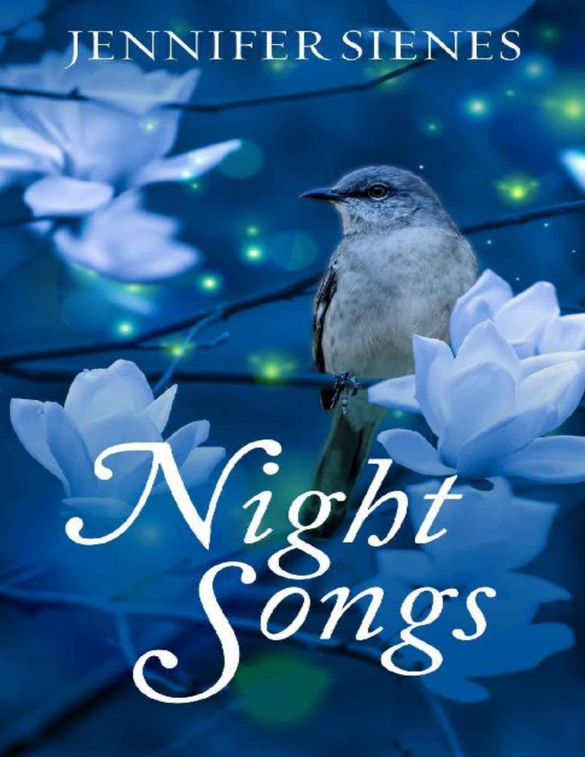 Night Songs The Bedford County Series Book 1 Jennifer Sienes