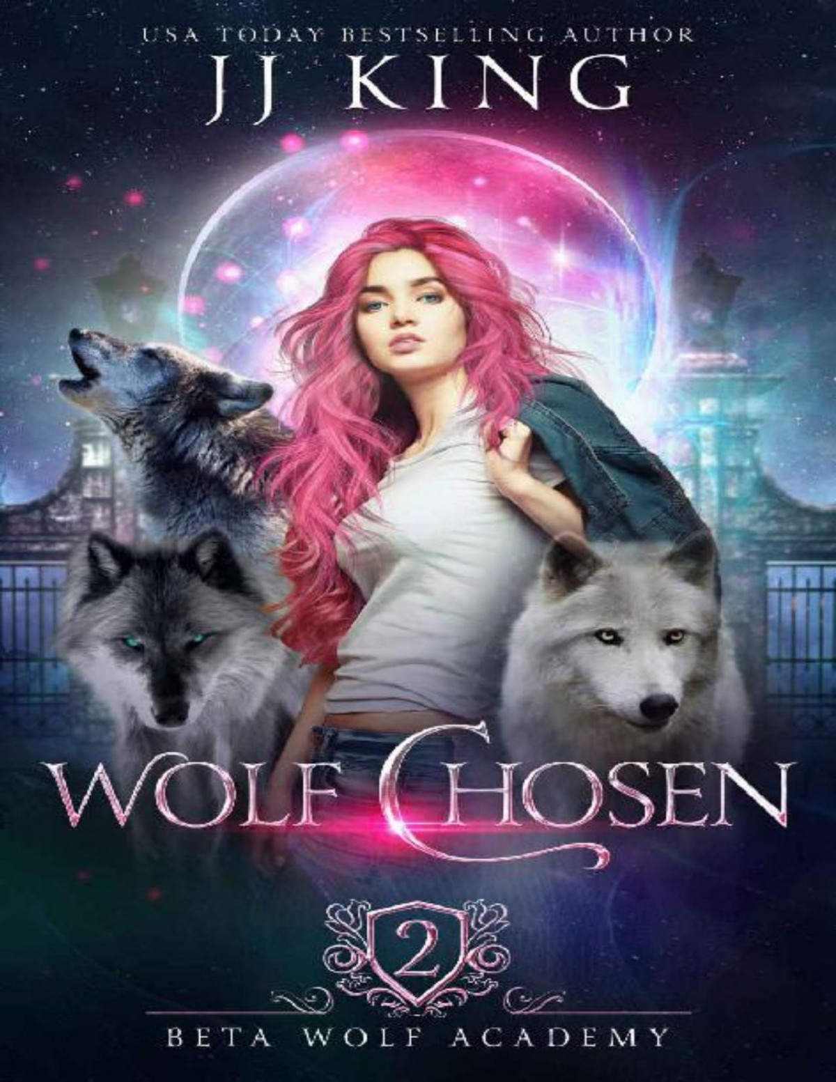 Wolf Chosen Beta Wolf Academy Book 2 Jj King