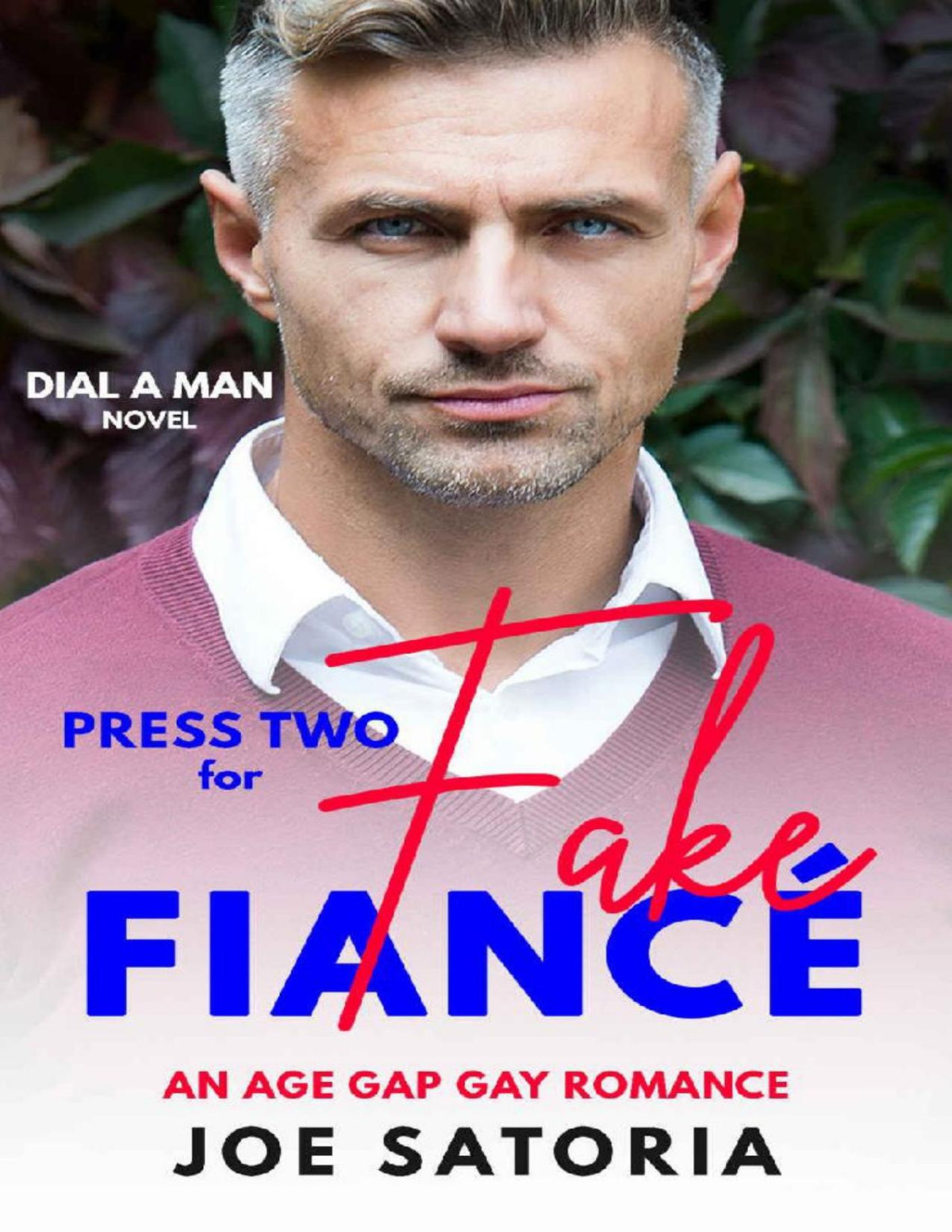 Press Two For Fake Fianc An Age Gap Gay Romance Dial A Man Joe Satoria