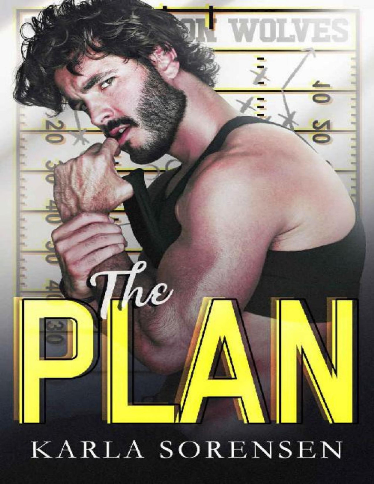 The Plan Karla Sorensen