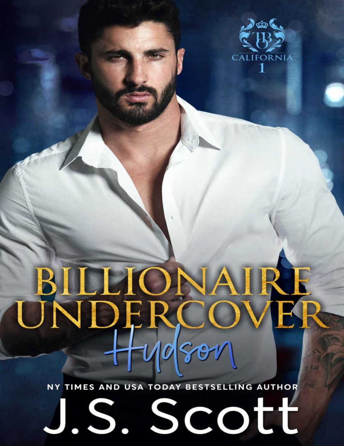 Billionaire Undercover Hudson Scott J S