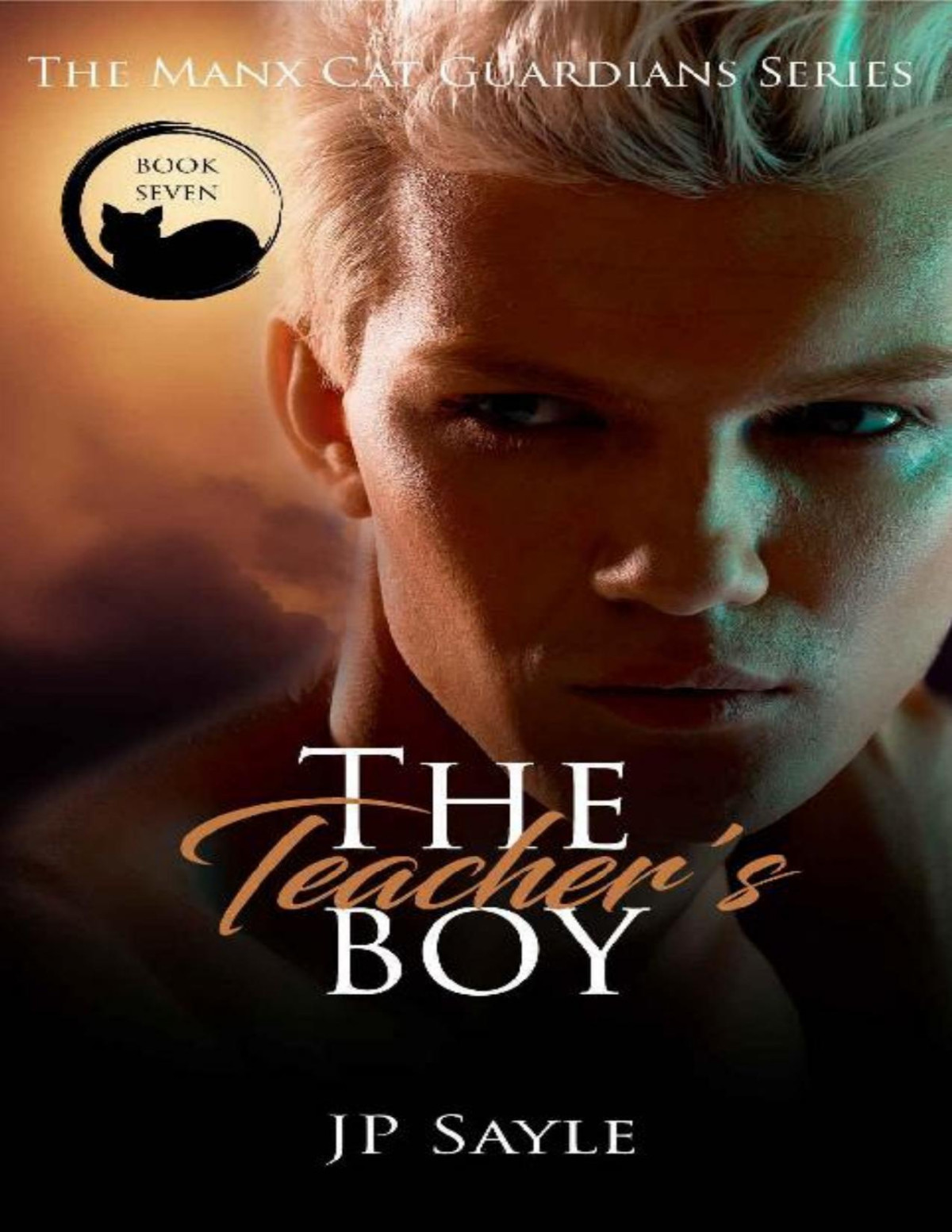 The Teachers Boy Manx Cat Guardians Book 7 Jp Sayle