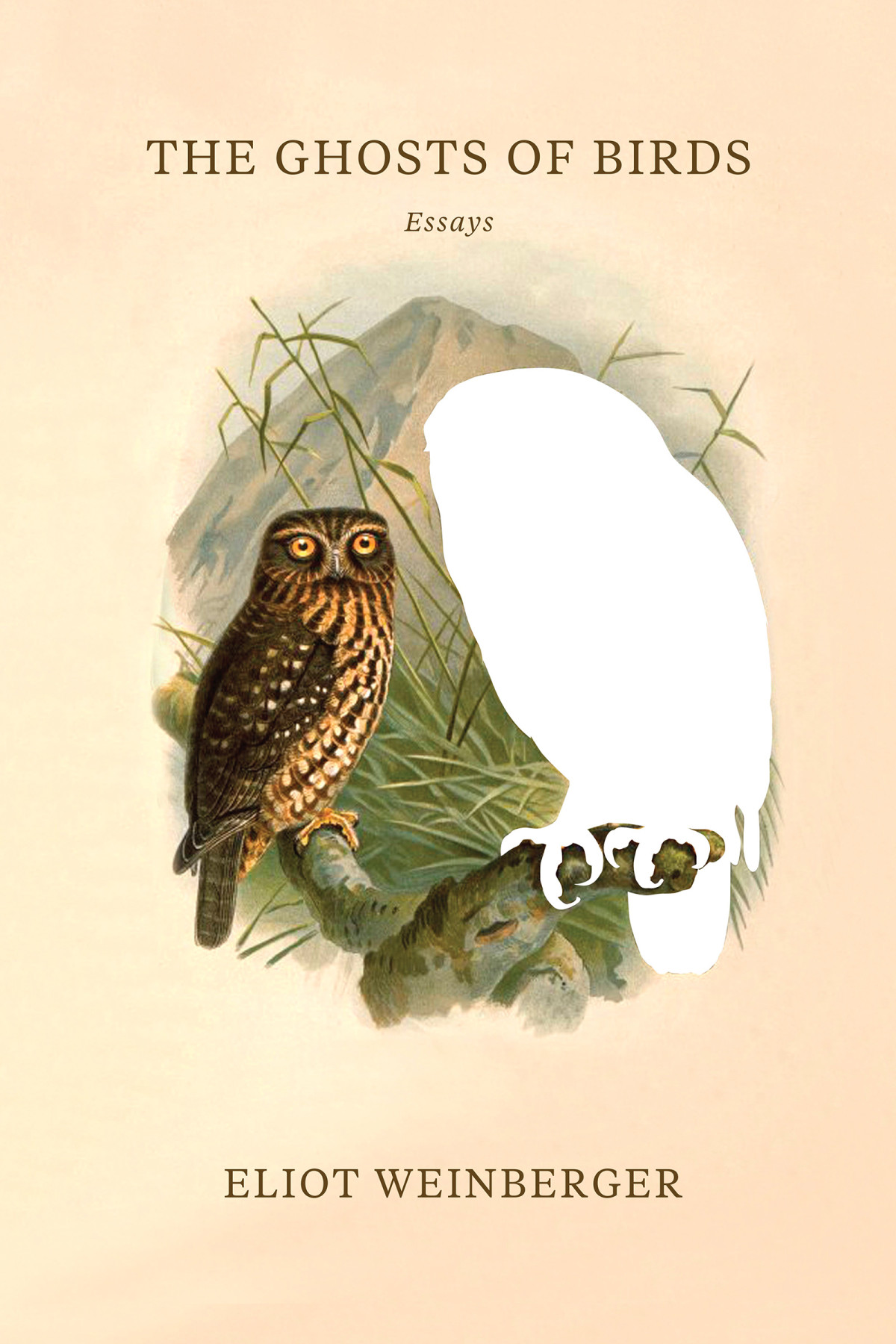 The Ghosts Of Birds Eliot Weinberger