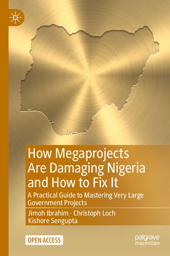 How Megaprojects Are Damaging Nigeria And How To Fix It A Practical Guide To Mastering Very Large Government Projects 1st Edition Jimoh Ibrahim