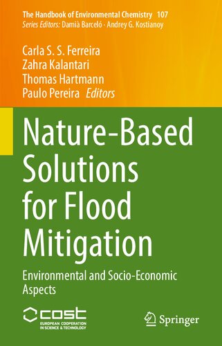 Naturebased Solutions For Flood Mitigation Environmental And Socioeconomic Aspects Carla S S Ferreira