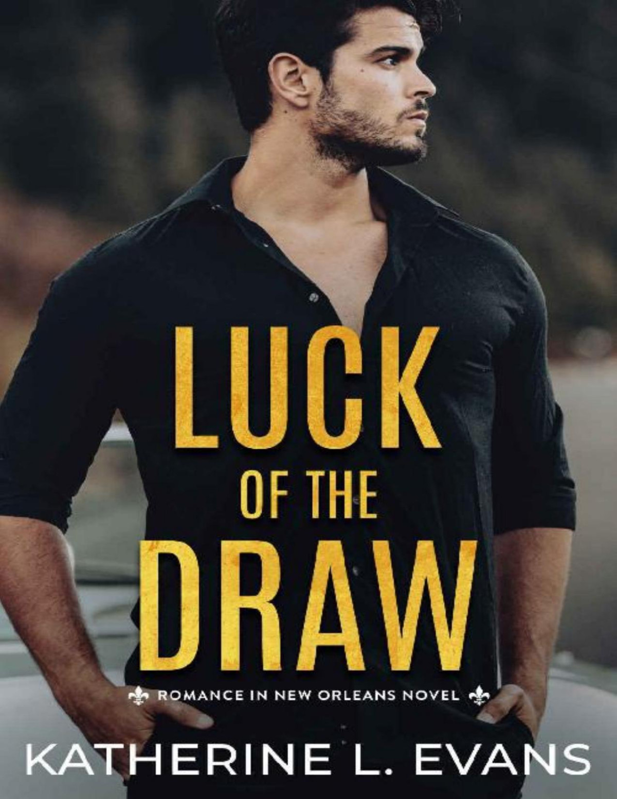 Luck Of The Draw A Small Town Southern Veteran Romance Romance In New Orleans A Small Town Southern Romance Series Book 2 Katherine L Evans