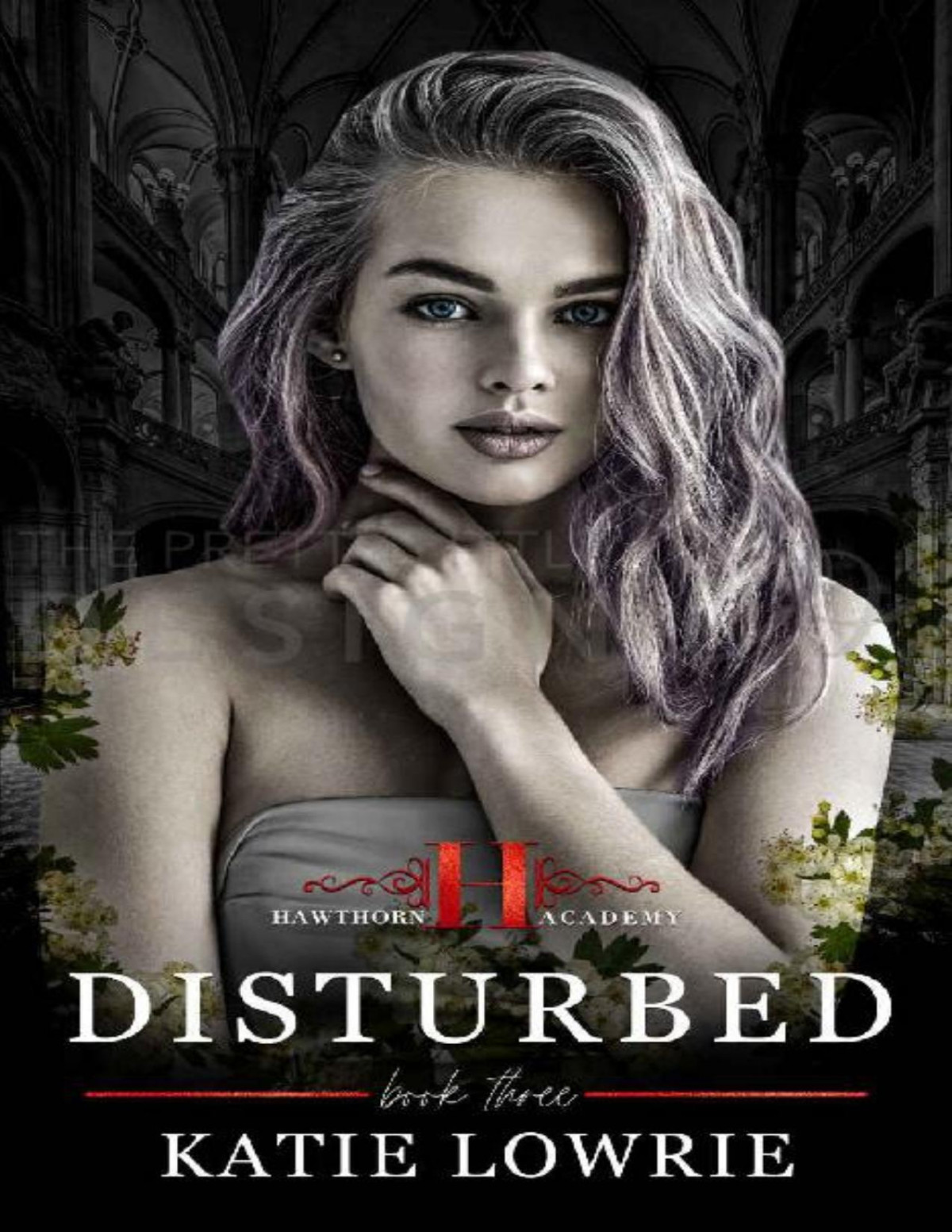 Disturbed A Dark High School Bully Romance Hawthorn Academy Book 3 Katie Lowrie