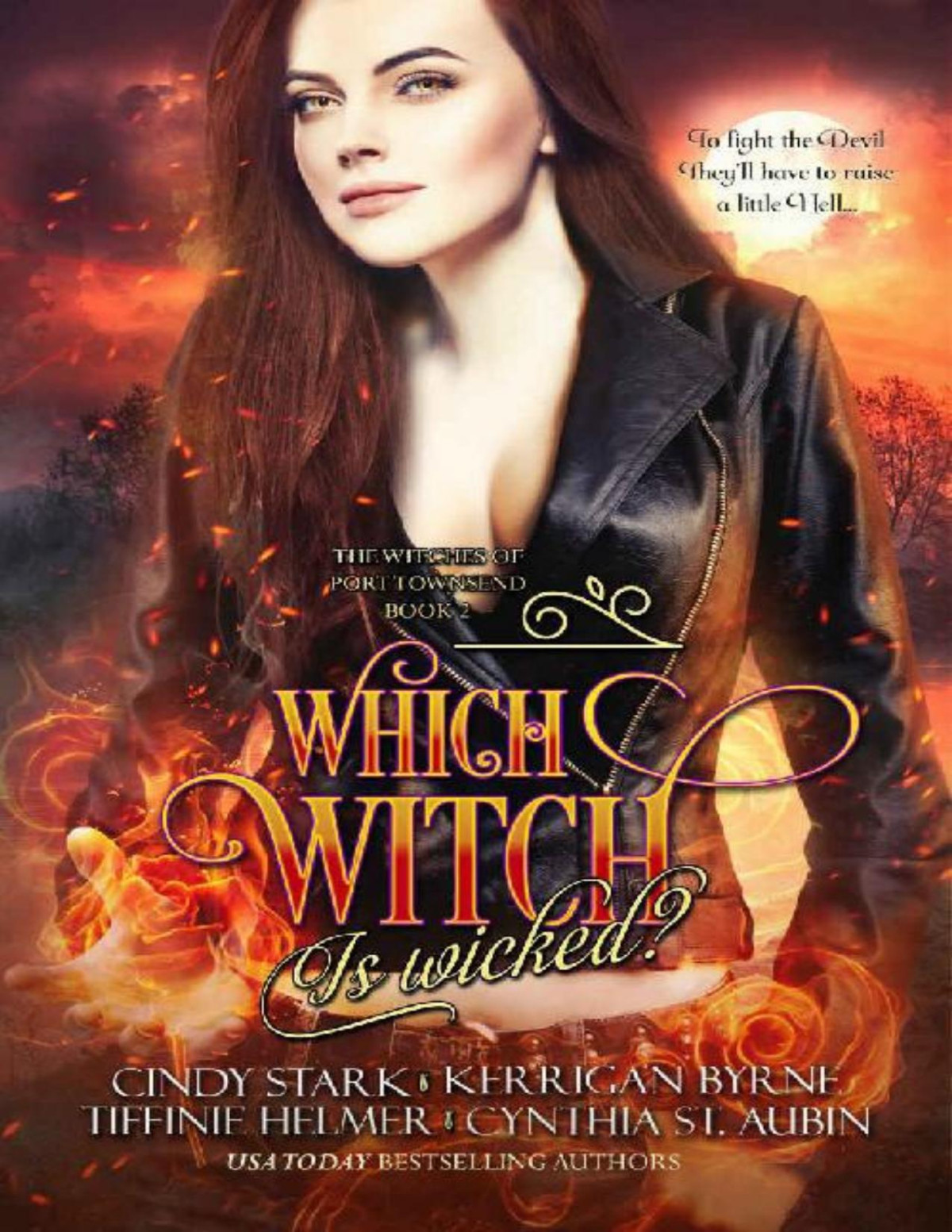 Which Witch Is Wicked The Witches Of Port Townsend 2 Cynthia St Aubin