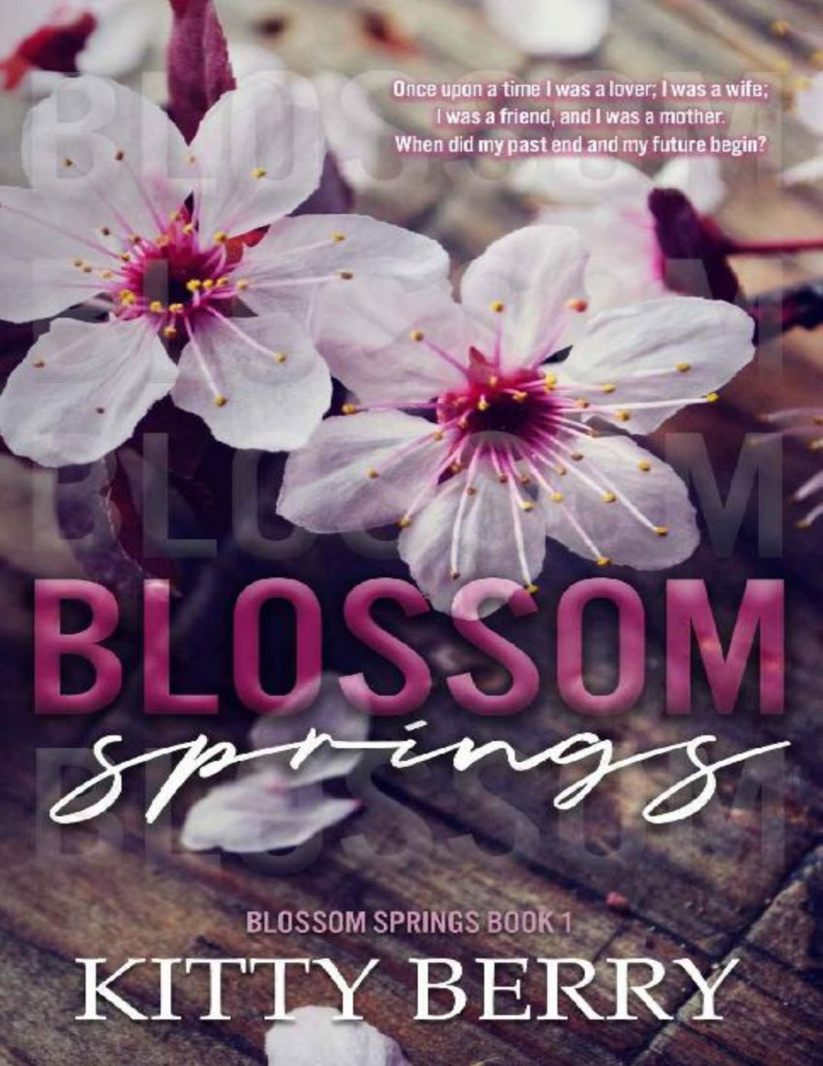 Blossom Springs Book 1 Kitty Berry