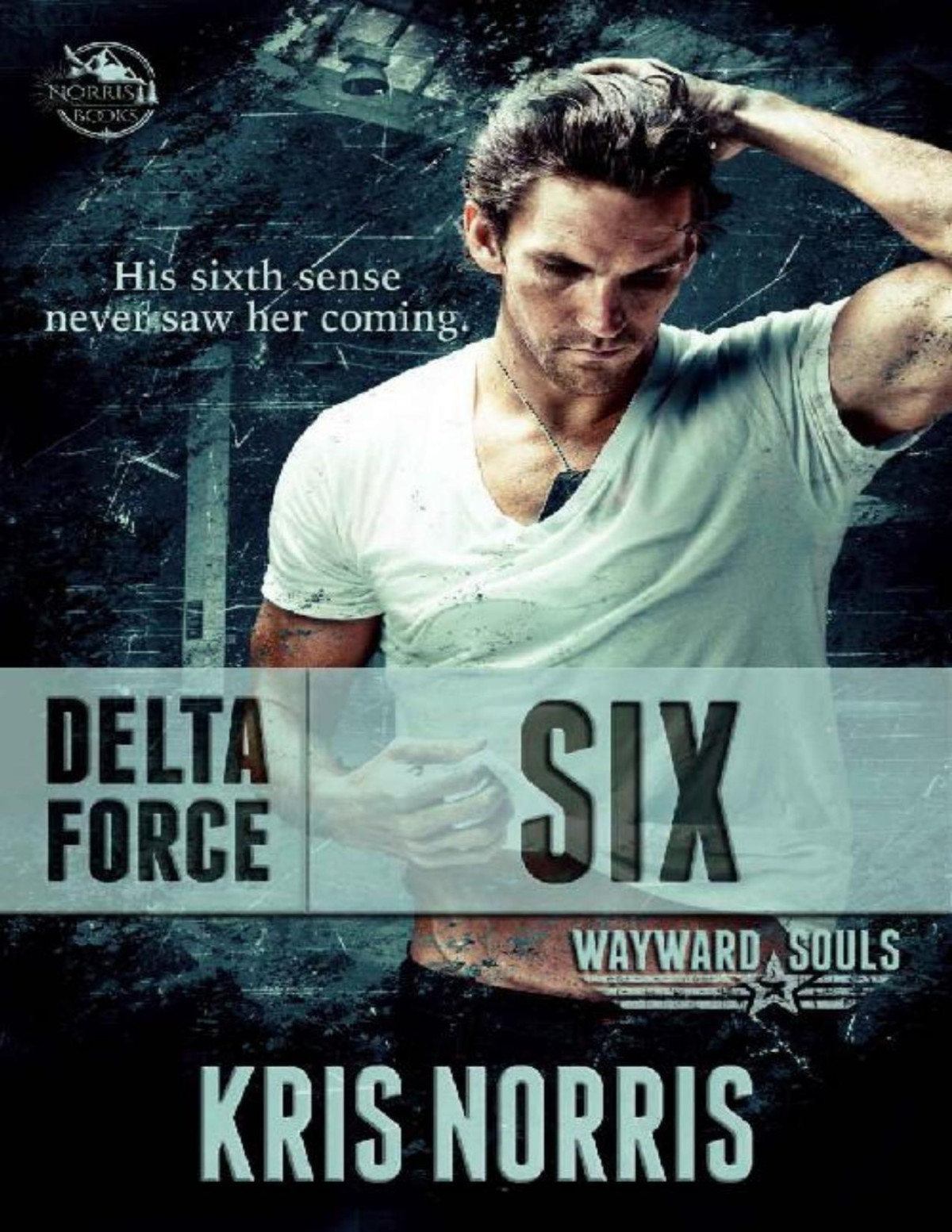 Delta Force Six Wayward Souls Book 3 Kris Norris